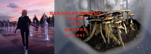 круглые Богородицк