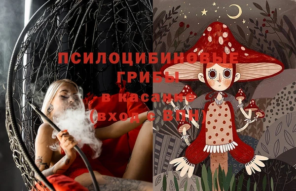 apvp Карталы