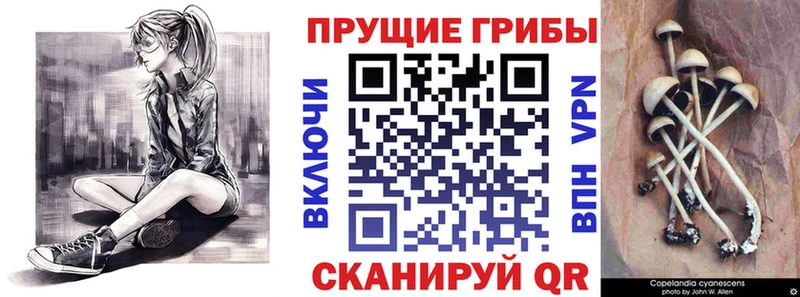 что такое   Бугуруслан  Псилоцибиновые грибы прущие грибы 